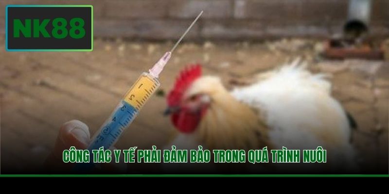 Công tác y tế phải đảm bảo trong quá trình nuôi