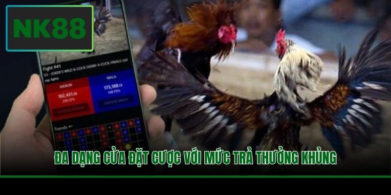 Đa dạng cửa đặt cược với mức trả thưởng khủng