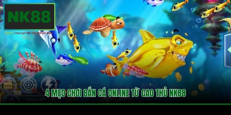 Áp dụng mẹo giúp quá trình săn thưởng dễ dàng hơn