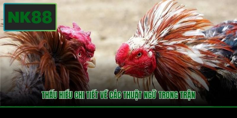 Thấu hiểu chi tiết về các thuật ngữ trong trận